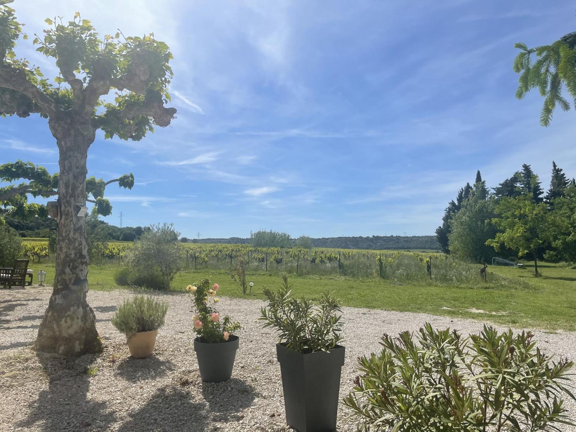 Ferienwohnung Appt 2 Pieces Dans Mas Provencal Roquemaure  Exterior foto